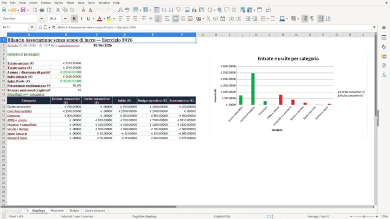 Anteprima di Bilancio di un’associazione senza scopo di lucro in Excel