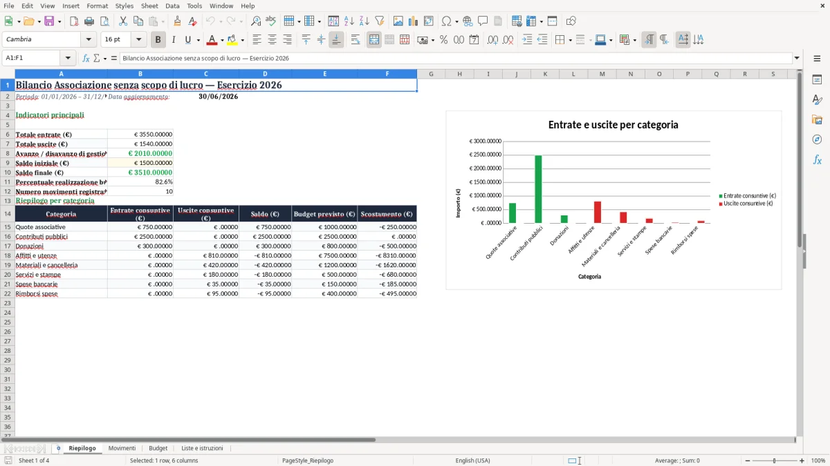 Anteprima del modello Excel Esempio di bilancio per associazione senza scopo di lucro in Excel — foglio Riepilogo (immagine 1)