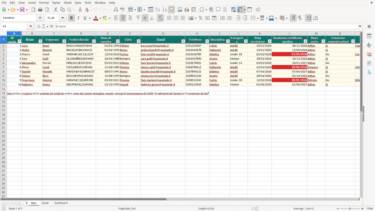 Anteprima del modello Excel Foglio Excel per la Gestione dell’Associazione Sportiva — foglio Soci (immagine 1)